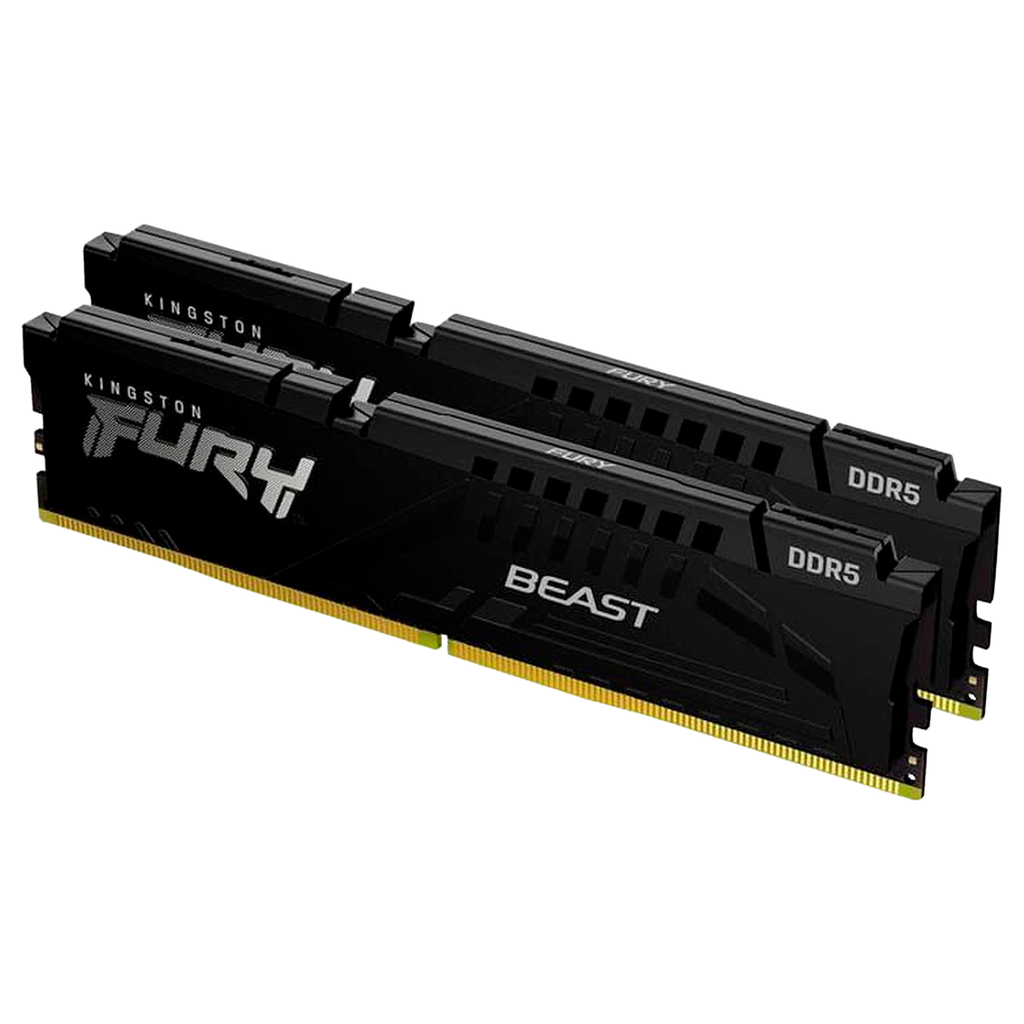 Kingston Fury Beast DDR5 5200 (1 X 8GB)